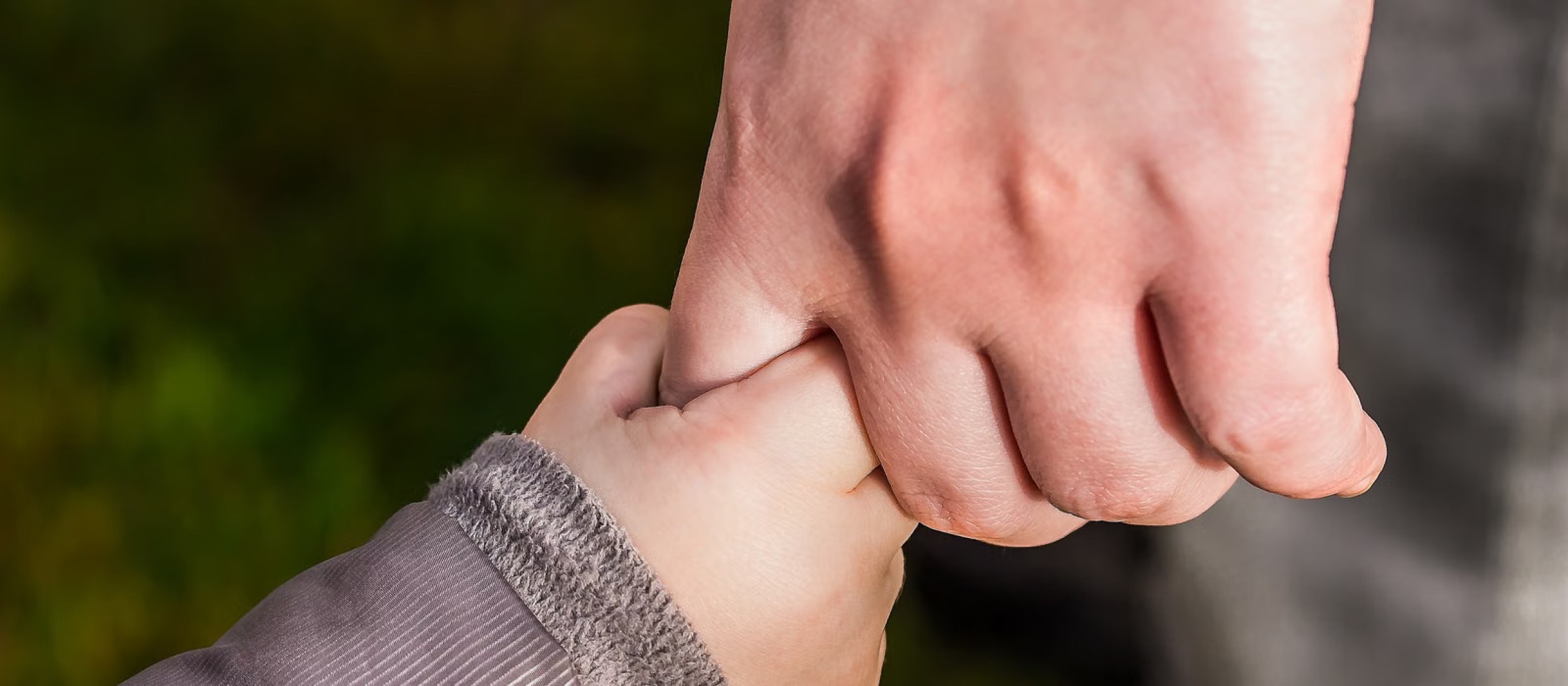 Shared Parenting Europe mission